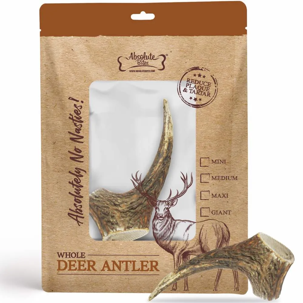 33% OFF: Absolute Bites Whole Deer Antler Dental Dog Chew