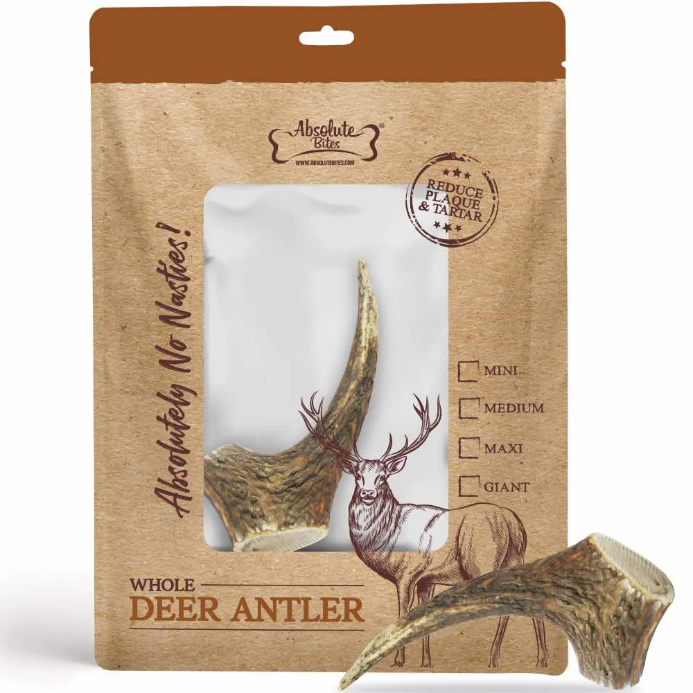 33% OFF: Absolute Bites Whole Deer Antler Dental Dog Chew