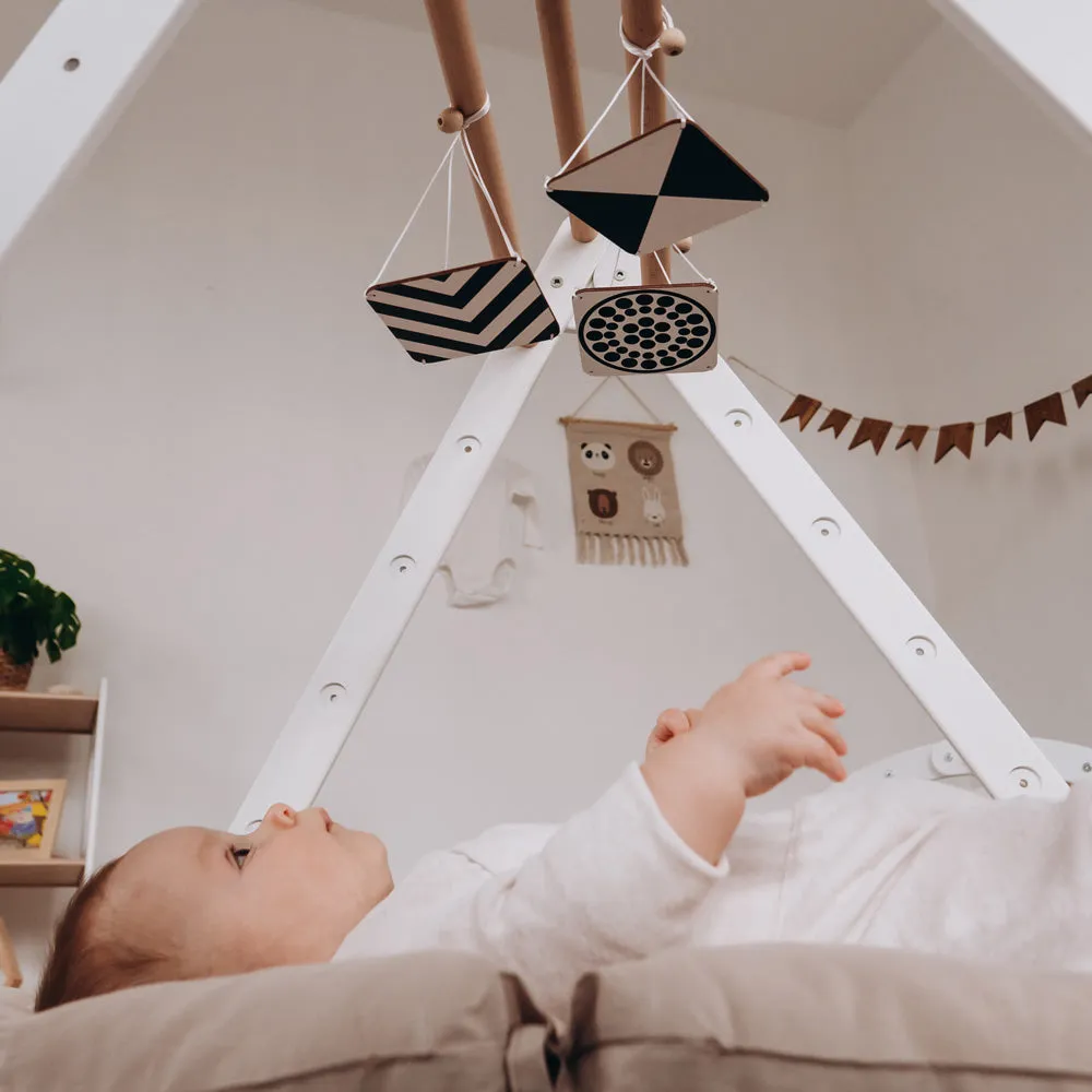 Baby Gym Toys