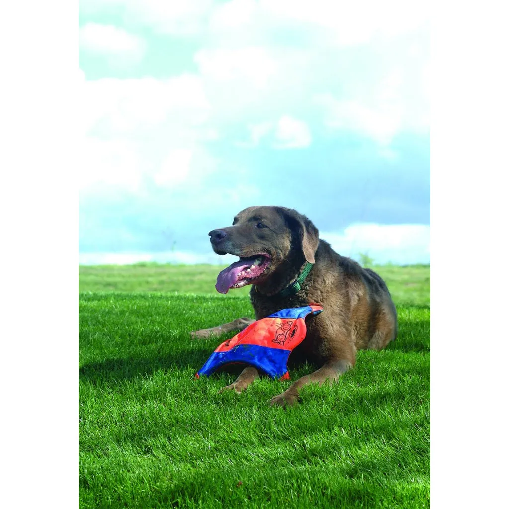 Chuckit! Flying Squirrel Toy for Dogs (color varies)