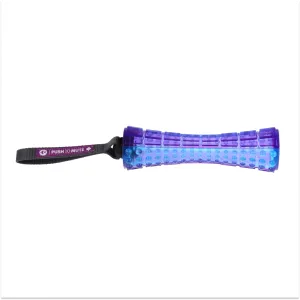 GiGwi Push To Mute Johnny Stick for Dogs (Purple/Blue)