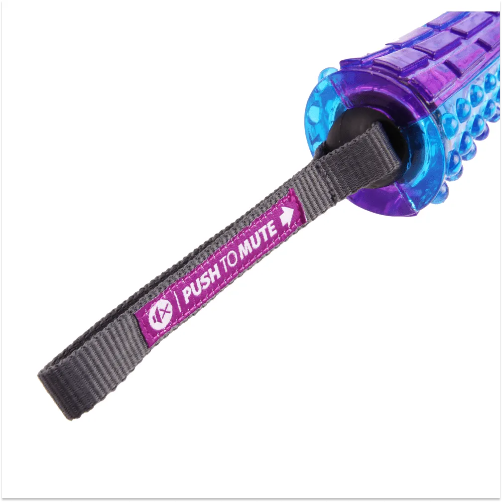 GiGwi Push To Mute Johnny Stick for Dogs (Purple/Blue)