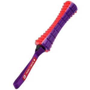 GiGwi Push To Mute Johnny Stick for Dogs (Red/Purple)