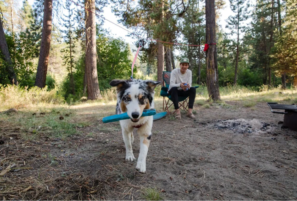 Gnawt-a-Stick™ Toy