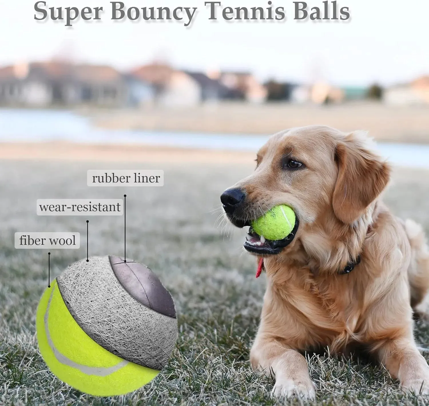 Interactive Dog Toys Tennis Ball (6-Pack) - Meet Bounce Buddies! 🐾🎾