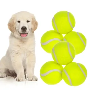 Interactive Dog Toys Tennis Ball (6-Pack) - Meet Bounce Buddies! 🐾🎾