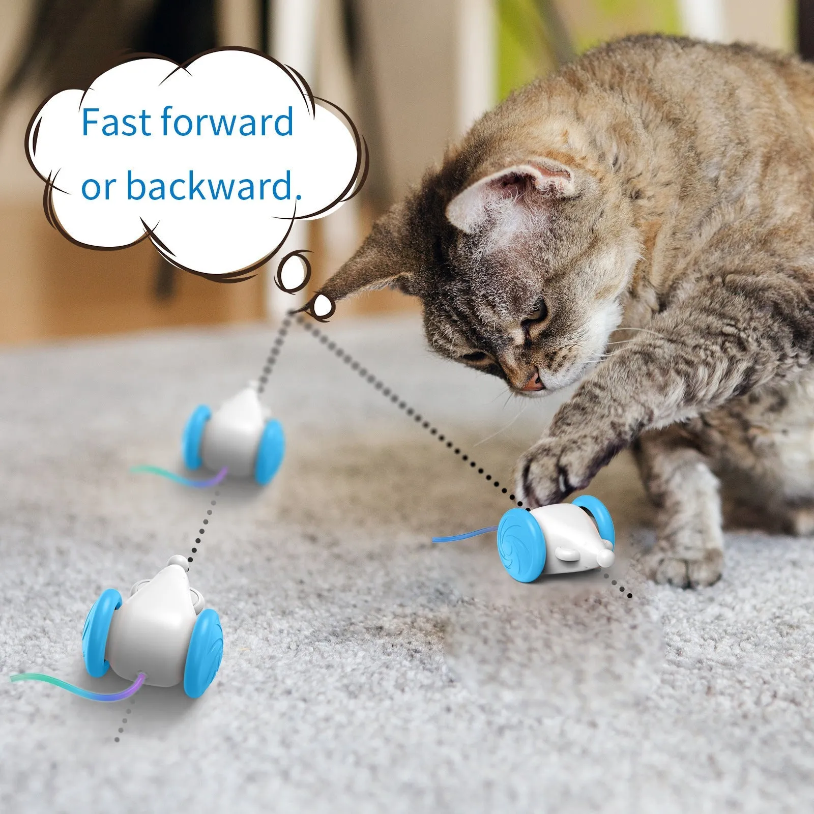 Interactive Luminous Mouse Toy For Cats To Chase Pet Supplies