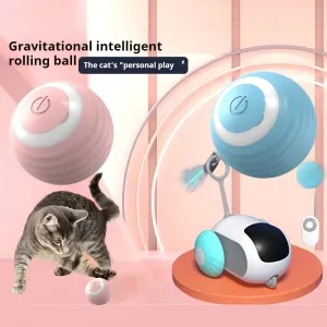 Interactive Rechargeable Cat Spin Ball Toy