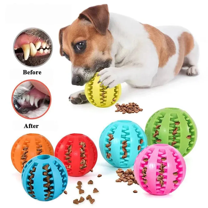 Interactive Rubber Ball for Dogs and Cats – Meet Chew & Play! 🐾🎾