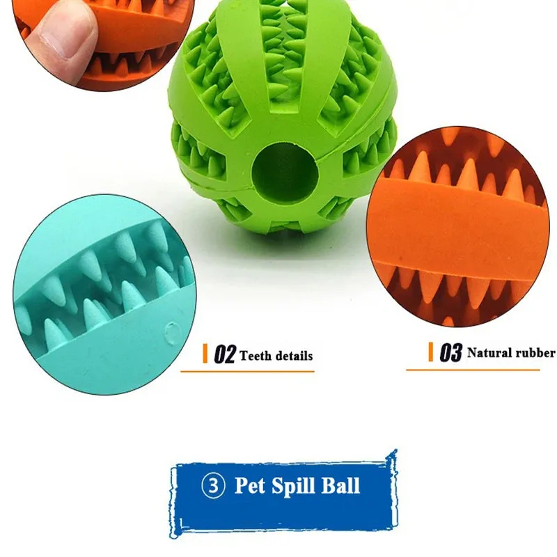 Interactive Rubber Ball for Dogs and Cats – Meet Chew & Play! 🐾🎾