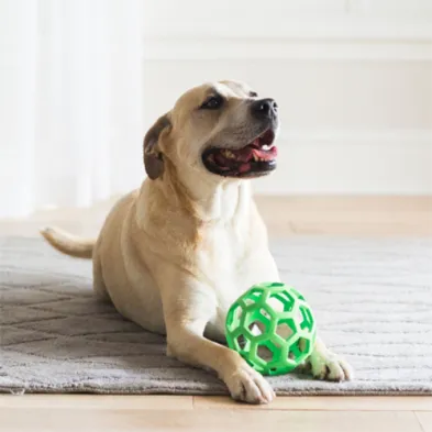 JW® Hol-ee Roller® Dog Toy