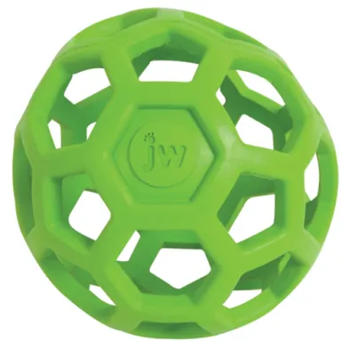 JW® Hol-ee Roller® Dog Toy