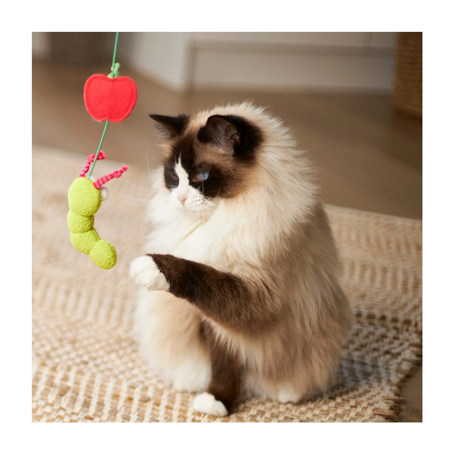 Kazoo Hungry Caterpillar Wand Cat Toy