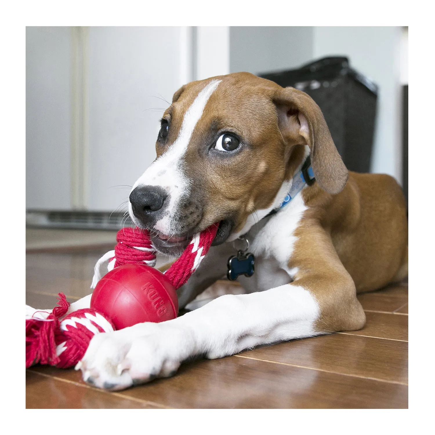 KONG Ball with Rope Dog Toy Small