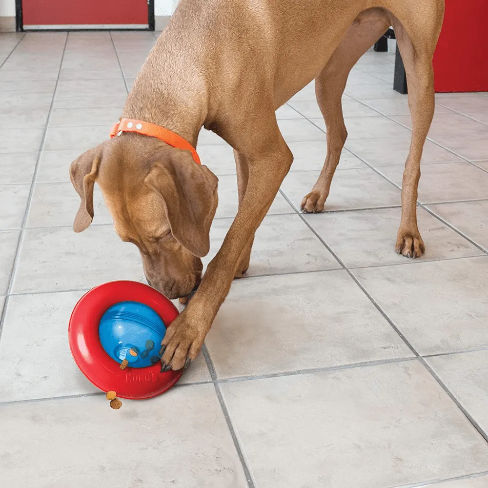 Kong Gyro Treat Dispensing Toy for Dogs