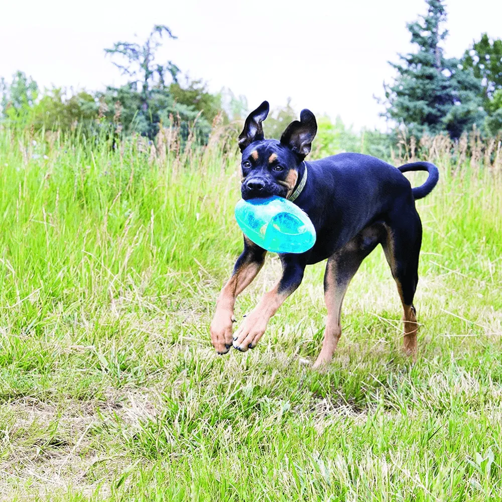 Kong Jumbler Football Toy for Dogs (Purple)