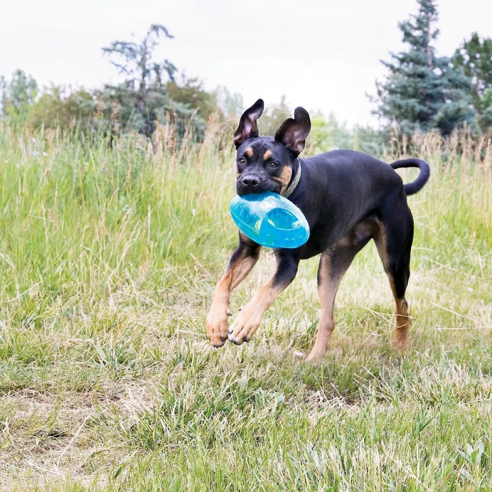 Kong Jumbler Football Toy for Dogs (Sea Blue)