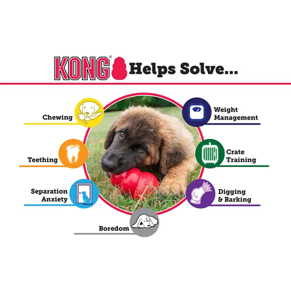 KONG Puppy Kong (Color May Vary)