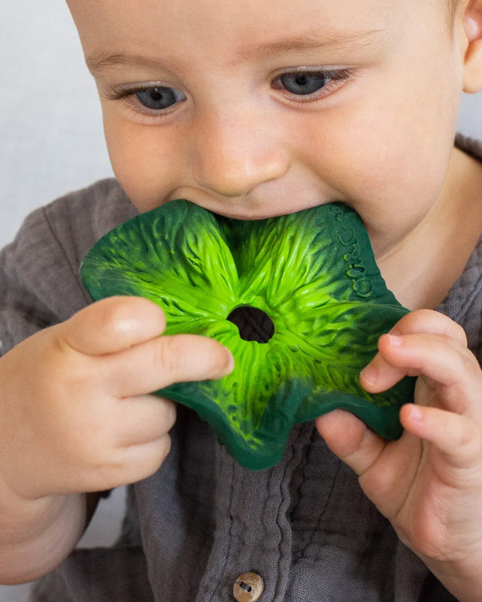 Oli & Carol Kendall the Kale Mini Doudou Baby Teether