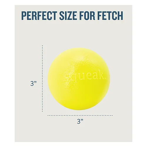 Planet Dog© Orbee-Tuff Squeak Ball Yellow Dog Toy