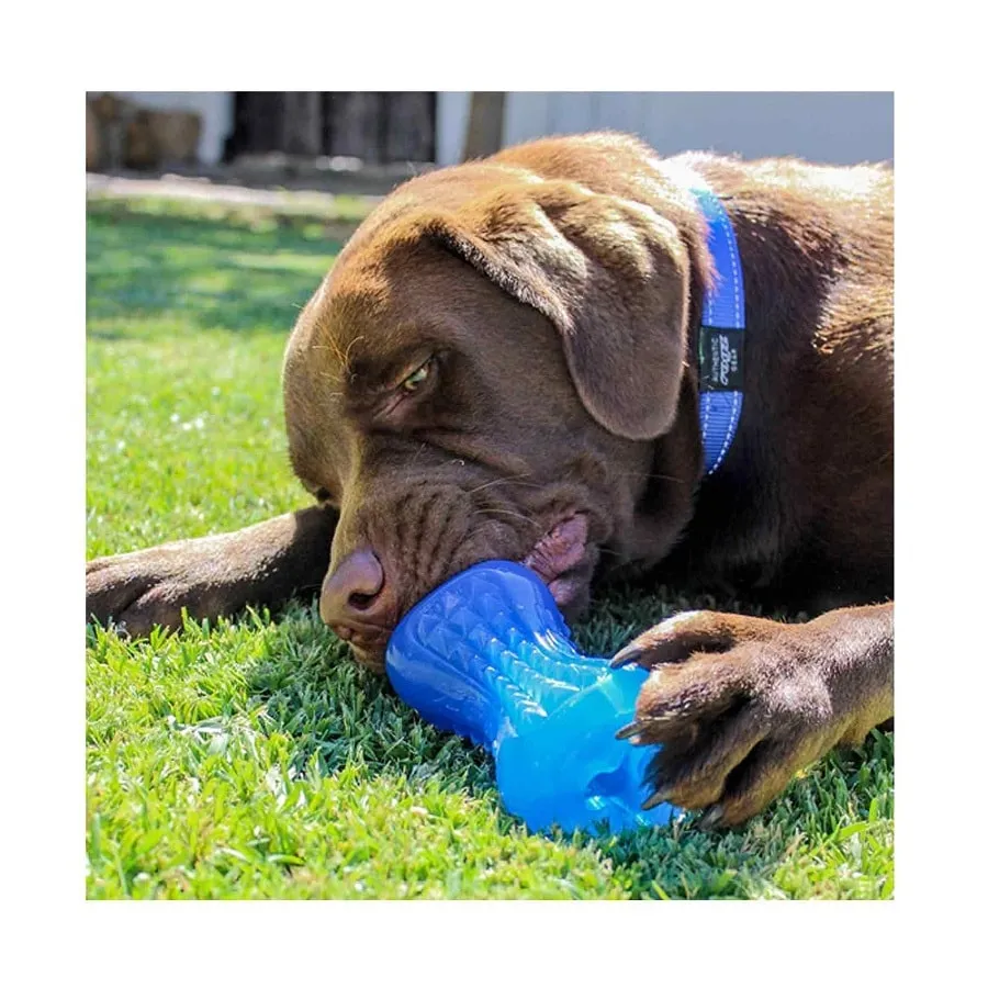 Rogz Yumz Dog Toy Blue