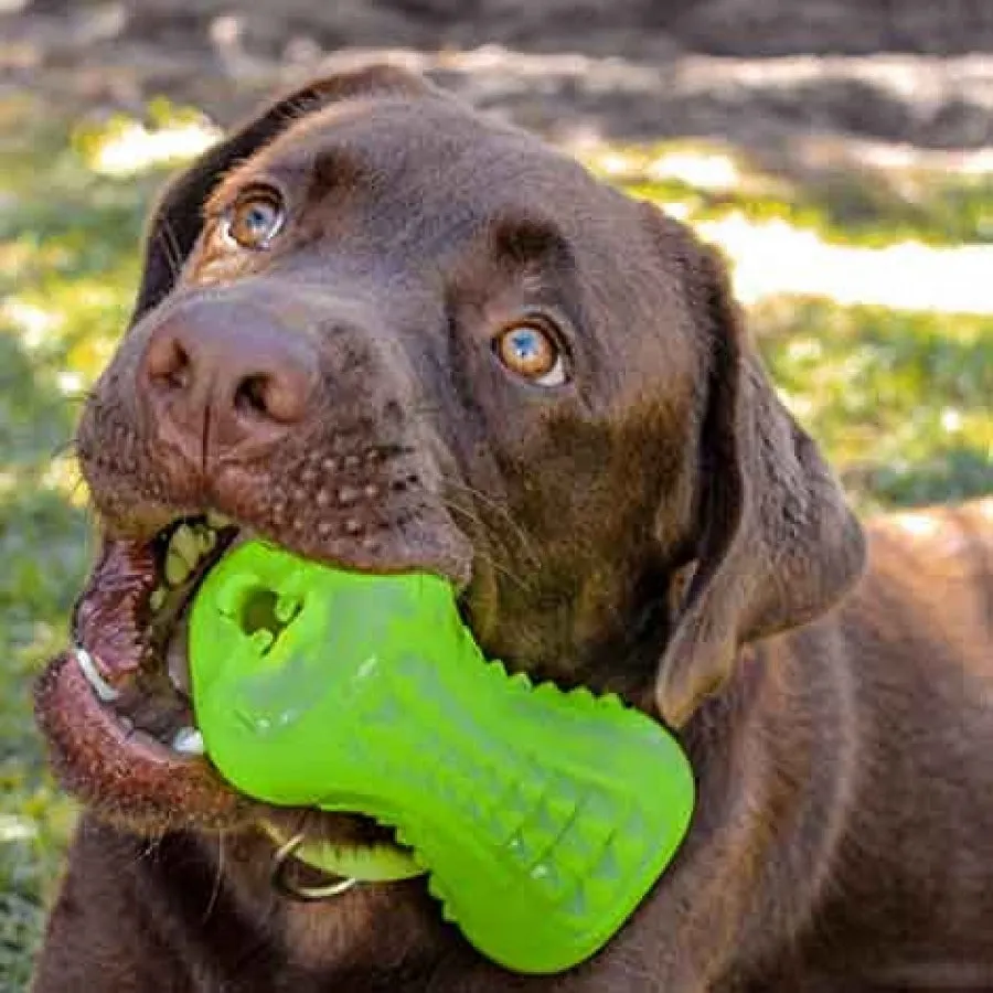 Rogz Yumz Dog Toy Blue