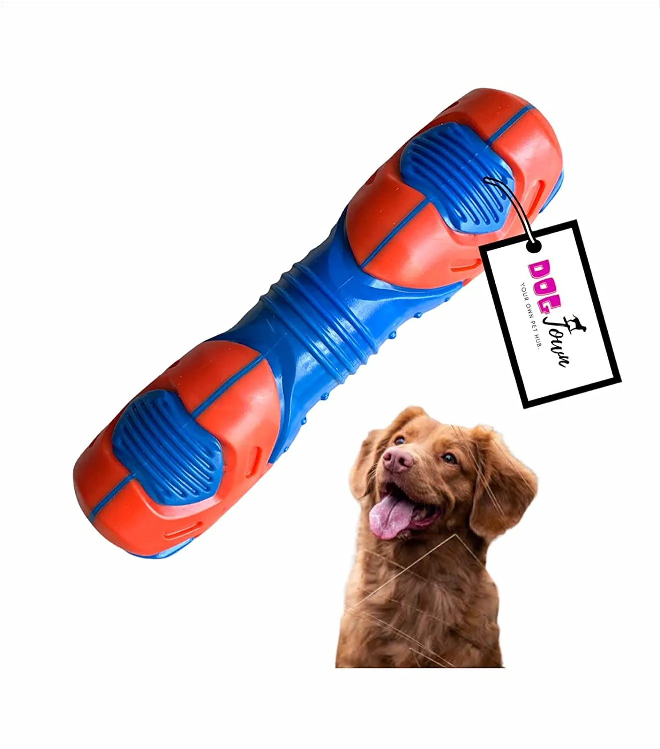 Training Squeaky Saber Future Toy (Color May Vary)