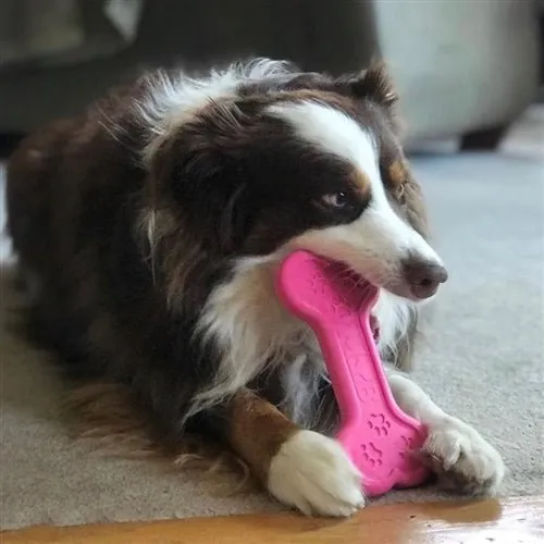 Ultra Durable Nylon Dog Chew Toy - Bone Shaped