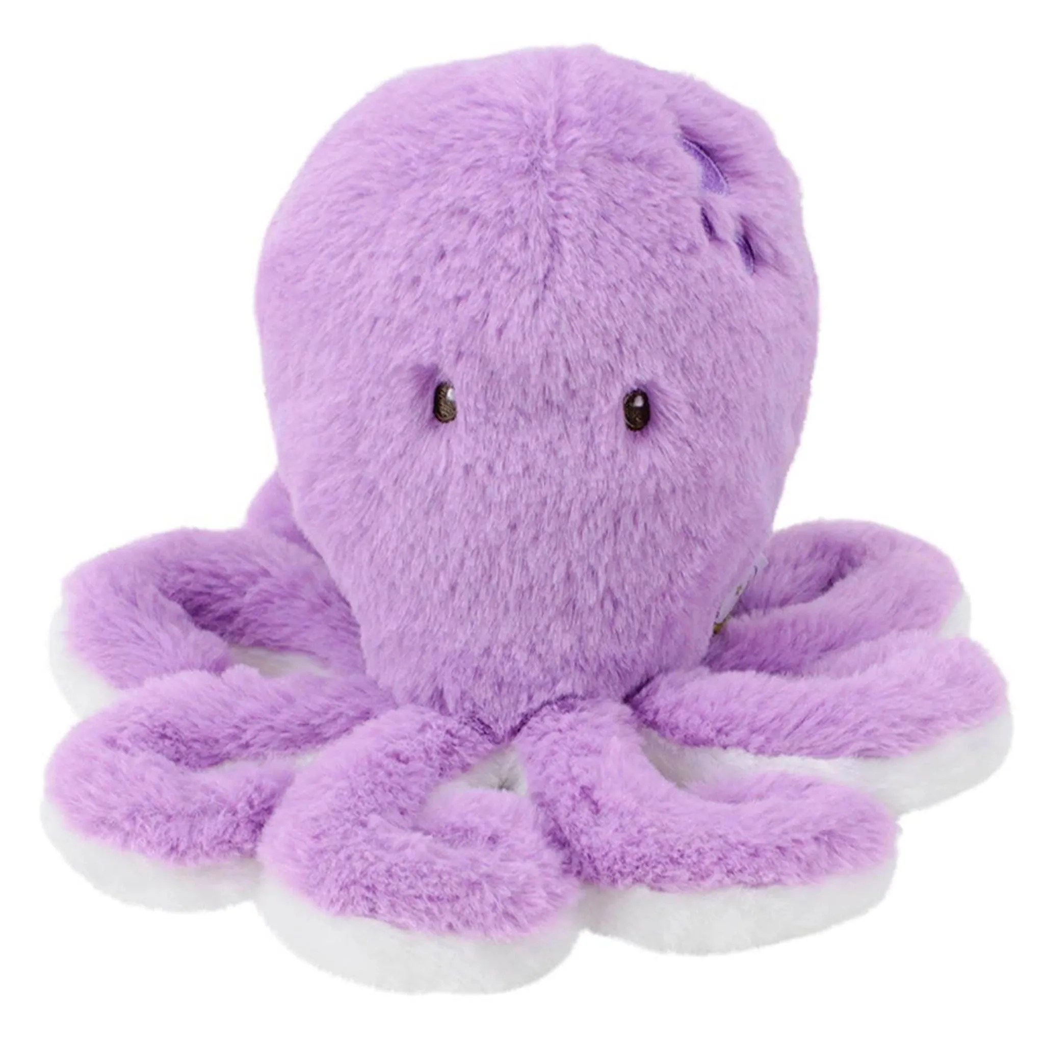 Under the Sea Octopus